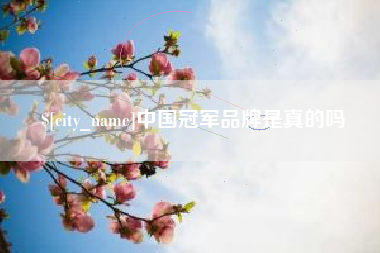 景德镇中国冠军品牌是真的吗