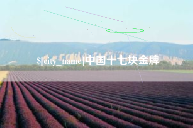 景德镇中国十七块金牌
