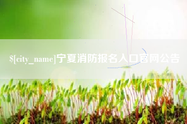 景德镇宁夏消防报名入口官网公告