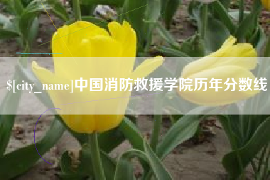 景德镇中国消防救援学院历年分数线