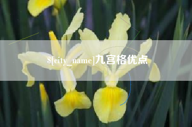 景德镇九宫格优点