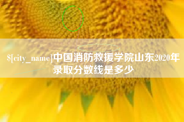 景德镇中国消防救援学院山东2020年录取分数线是多少