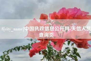 景德镇中国执政信息公开网-失信人员查询页