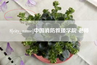 景德镇中国消防救援学院 老师