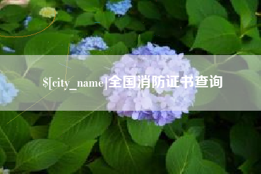景德镇全国消防证书查询