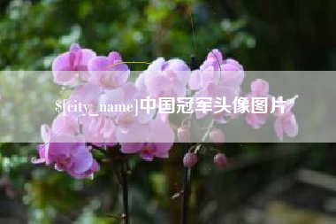 景德镇中国冠军头像图片