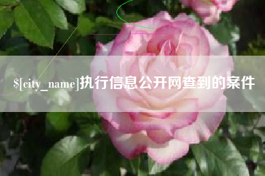 景德镇执行信息公开网查到的案件