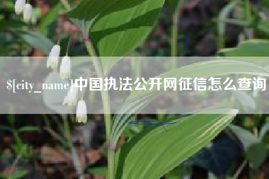 景德镇中国执法公开网征信怎么查询
