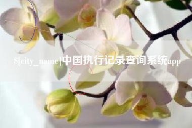 景德镇中国执行记录查询系统app