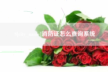 景德镇消防证怎么查询系统