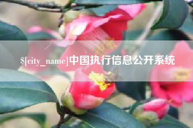 景德镇中国执行信息公开系统