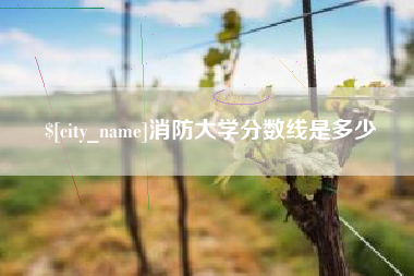 景德镇消防大学分数线是多少