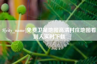 景德镇免费卫星地图高清村庄地图看到人实时下载