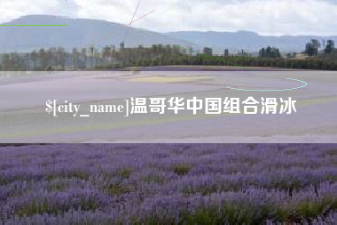 景德镇温哥华中国组合滑冰