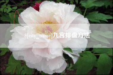 景德镇九宫排盘方法