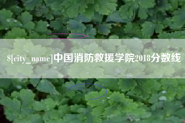 景德镇中国消防救援学院2018分数线