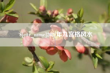 景德镇2021年九宫格风水