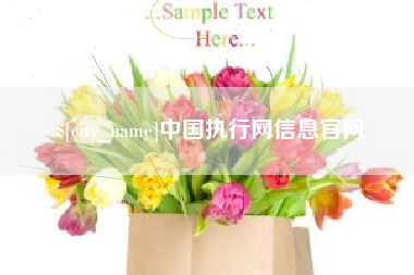 景德镇中国执行网信息官网