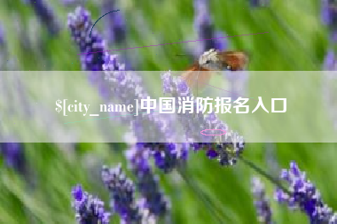景德镇中国消防报名入口