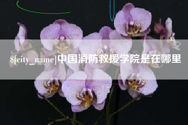 景德镇中国消防救援学院是在哪里