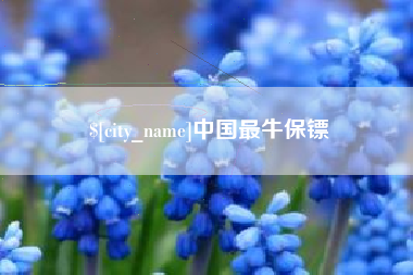 景德镇中国最牛保镖