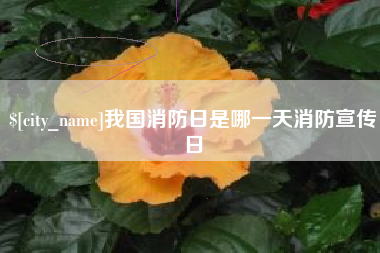 景德镇我国消防日是哪一天消防宣传日