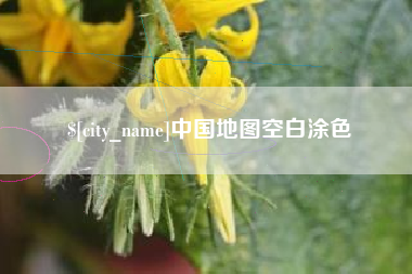 景德镇中国地图空白涂色