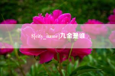 景德镇九金是谁