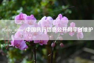 景德镇中国执行信息公开网平台维护