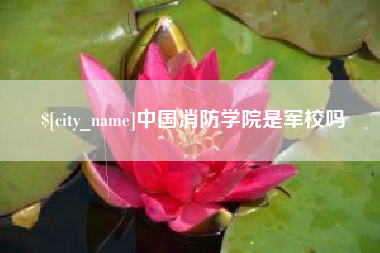 景德镇中国消防学院是军校吗