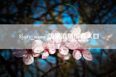 景德镇国家消防报名入口