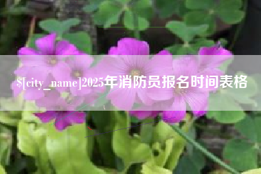景德镇2025年消防员报名时间表格