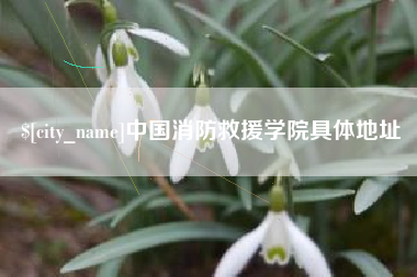 景德镇中国消防救援学院具体地址
