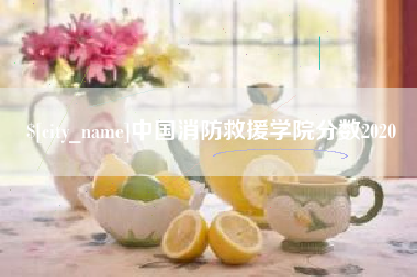 景德镇中国消防救援学院分数2020
