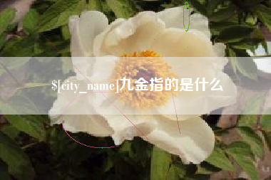 景德镇九金指的是什么