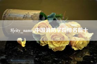景德镇中国消防学院排名前十