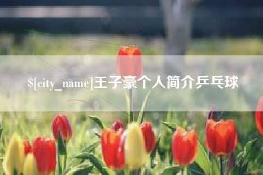 景德镇王子豪个人简介乒乓球