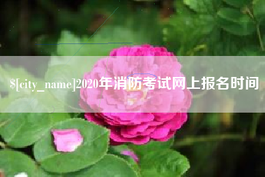 景德镇2020年消防考试网上报名时间