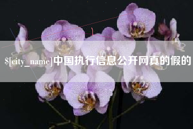 景德镇中国执行信息公开网真的假的