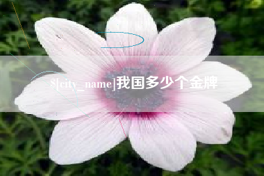 景德镇我国多少个金牌