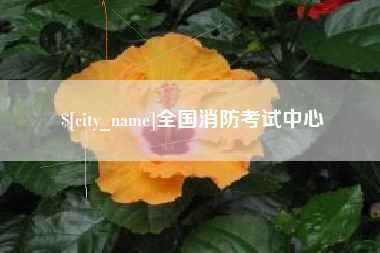 景德镇全国消防考试中心