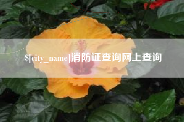 景德镇消防证查询网上查询