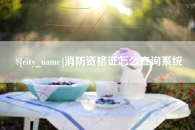 景德镇消防资格证怎么查询系统