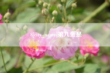 景德镇第九金是