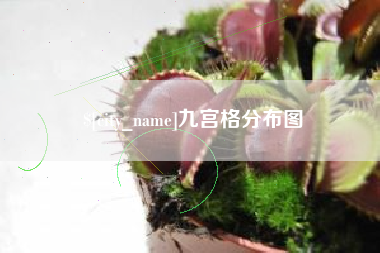 景德镇九宫格分布图