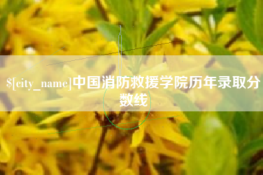 景德镇中国消防救援学院历年录取分数线