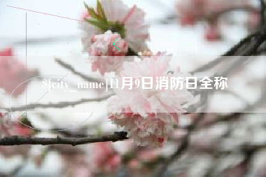 景德镇11月9日消防日全称