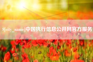 景德镇中国执行信息公开网官方服务