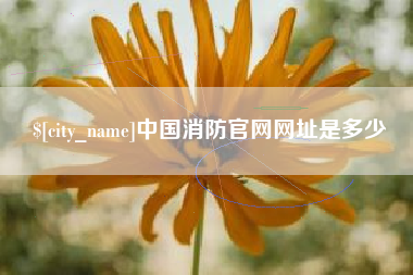 景德镇中国消防官网网址是多少