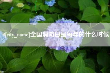 景德镇全国消防日是每年的什么时候